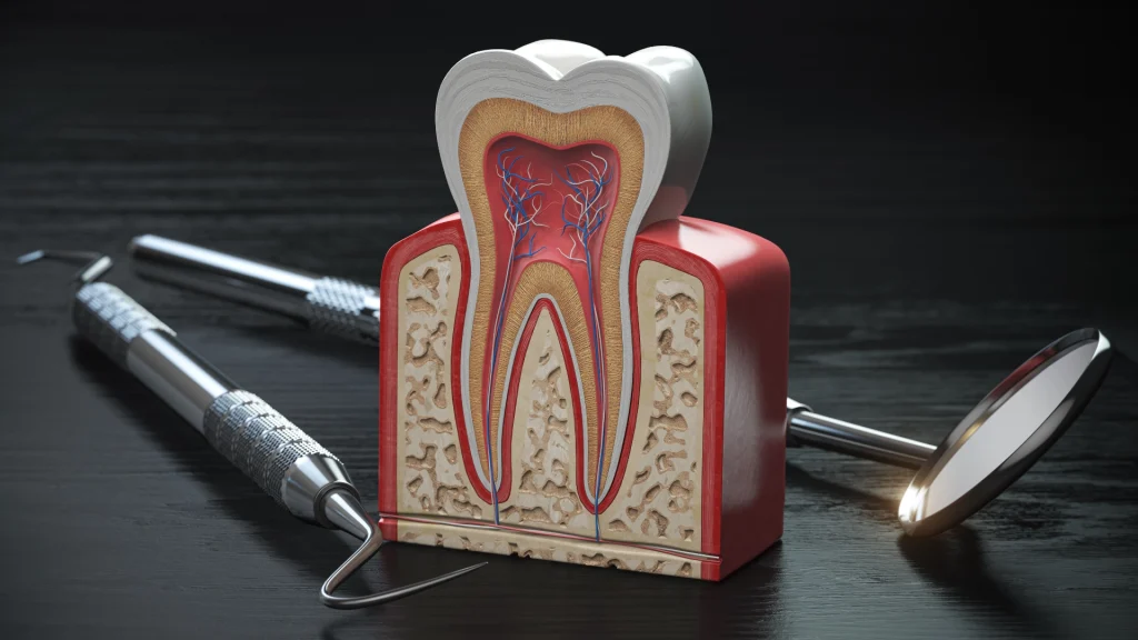 Kanal Tedavisi: Dişi Kurtarmanın Bilimsel Yolu 1 Lüleburgaz Arif Necati Koç Diş Kliniği Kanal Tedavisi